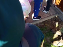 2025-09-24 Krasnale u leśniczego